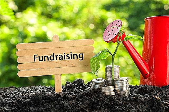 Ideas de recaudación de fondos para jardines comunitarios: desarrollo de propuestas de subvenciones para jardines comunitarios