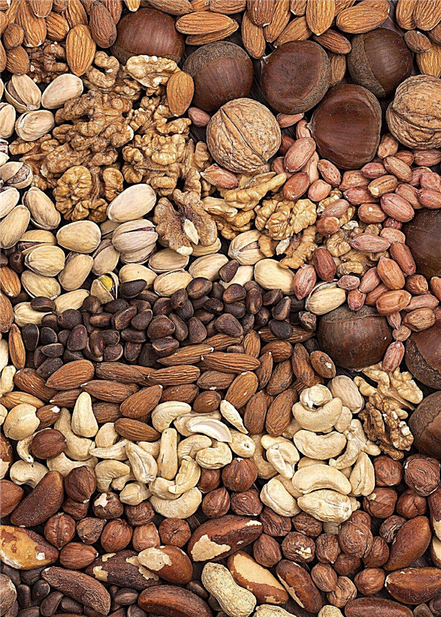 Soorten noten in tuinen - Informatie over zaad versus Nut Vs. Peulvrucht
