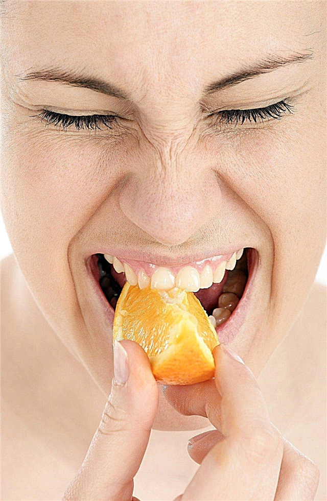 Por que uma laranja é muito azeda: como tornar as laranjas mais doces