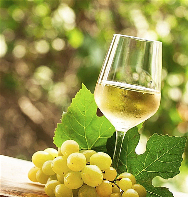 พันธุ์องุ่นองุ่น: เรียนรู้เกี่ยวกับประเภทของไวน์ที่ดีที่สุด