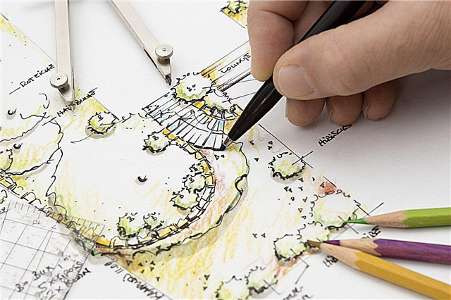 Auswählen eines Landschaftsdesigners - Tipps zum Finden eines Landschaftsdesigners