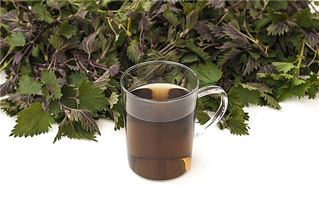 Травяной чай для растений: информация о травяных удобрениях