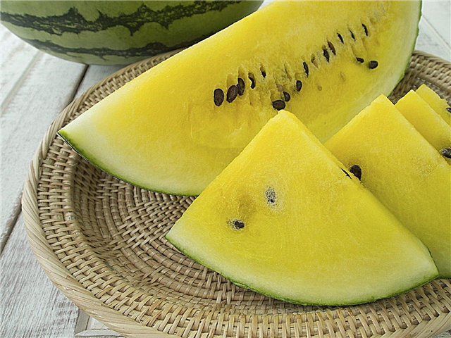 Är gula vattenmeloner naturliga: Varför vattenmelon är gul inuti