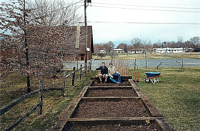 ¿Son seguros los lazos de ferrocarril para la jardinería: uso de lazos de ferrocarril para camas de jardín