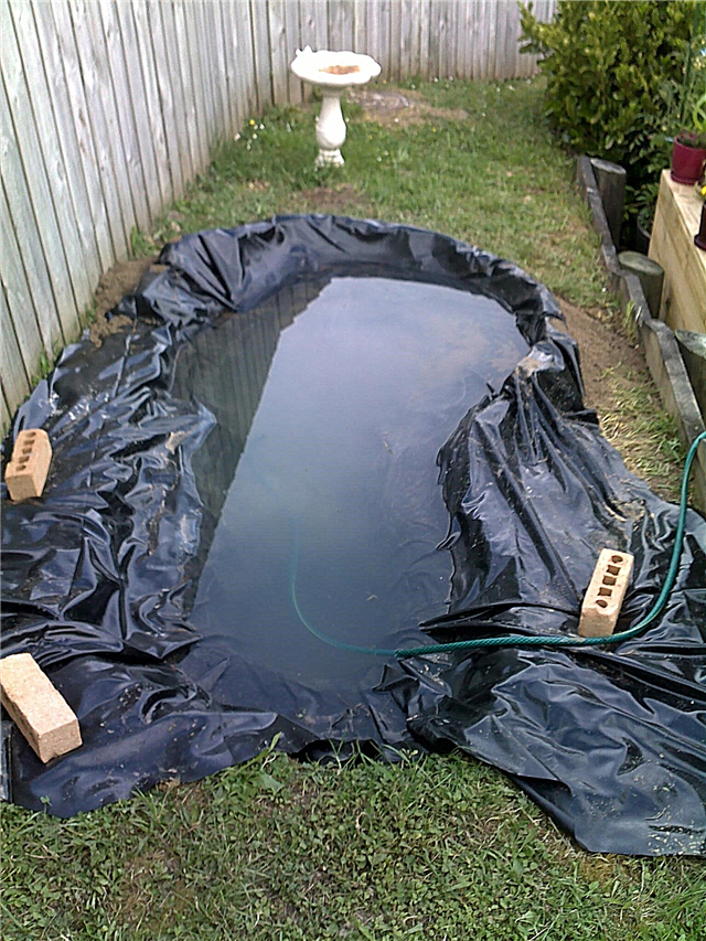 อุปกรณ์สวนน้ำ: เคล็ดลับเกี่ยวกับอุปกรณ์บ่อและสวนหลังบ้าน