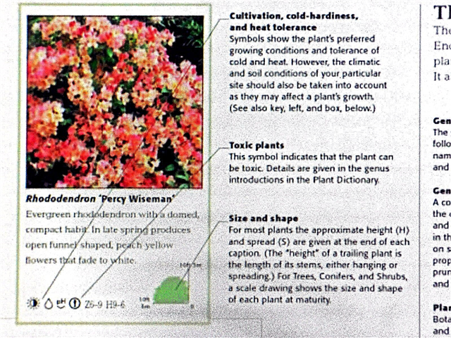 Abreviaturas de cuidado de plantas: información sobre acrónimos de plantas en jardinería