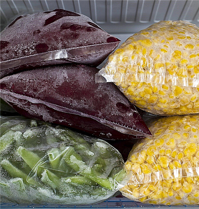 野菜の保存と保存に関するヒント–冬に野菜を保存する方法