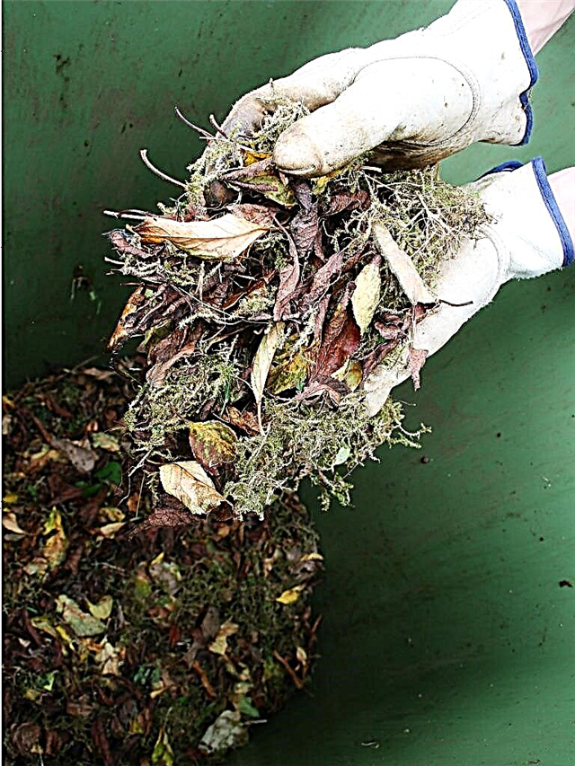 Fall Mulching Tips: Moet u planten in de herfst mulchen