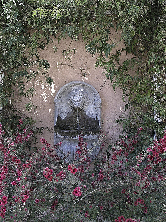 Fontane da parete fai-da-te: come costruire una fontana da parete per il tuo giardino