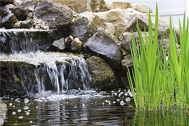 Características do jardim da cachoeira - pontas para criar cachoeiras da lagoa
