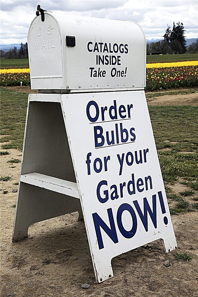 Catálogos de bulbos de flores - como encontrar um fornecedor confiável de bulbos