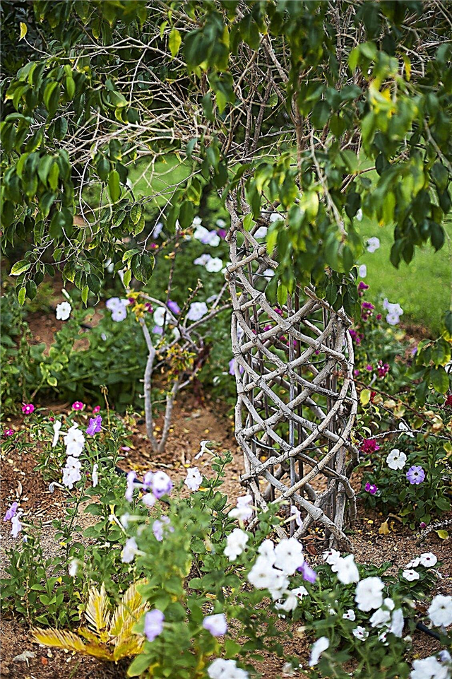 Arborsculpture Gardens: Comment faire une sculpture d'arbre vivant