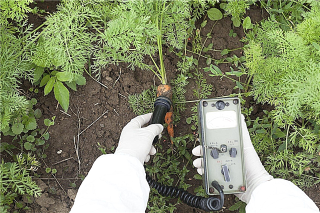 Tratarea solului contaminat: gestionarea solului contaminat în grădinile orașului