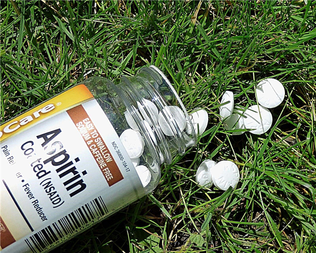 Aspirīns augu augšanai - padomi par aspirīna lietošanu dārzā