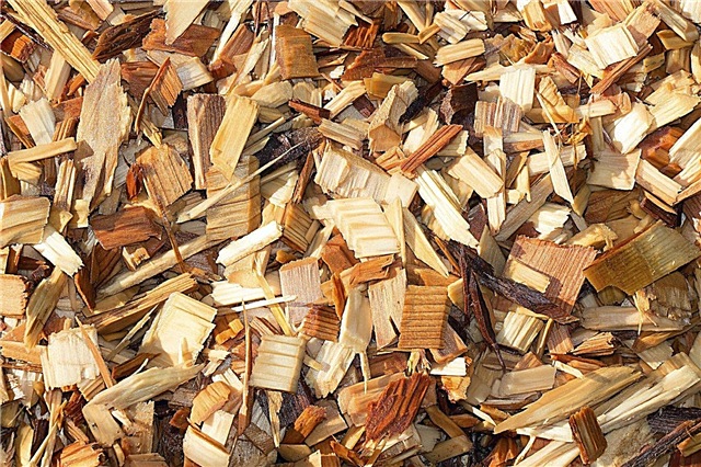 Pacciame di cedro triturato - Suggerimenti sull'uso di pacciame di cedro nei giardini
