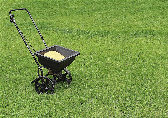Gödselmedel för gräsmattor - vilken typ av gräsmatta att använda