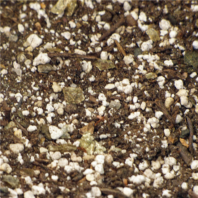 Ingrediënten van potgrond: leer over veelvoorkomende soorten potgrond