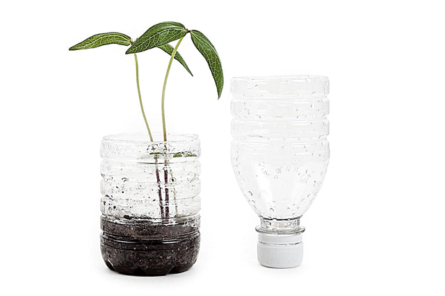 Mikro skleníky: Jak si vyrobit skleník s popelem