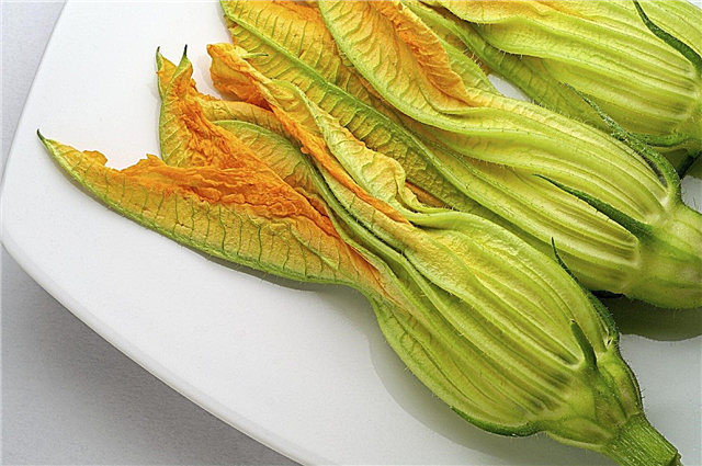 Partes vegetales comestibles: ¿Cuáles son algunas partes comestibles secundarias de verduras?