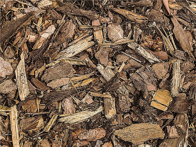 Druhy kôry Mulčovanie: Tipy na používanie dreva Mulčovanie v záhradách
