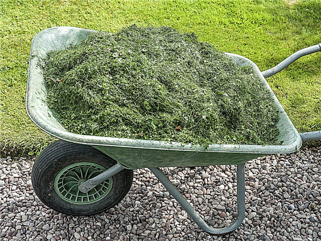 Böjning med gräsklipp: Kan jag använda gräsklipp som mulch i min trädgård