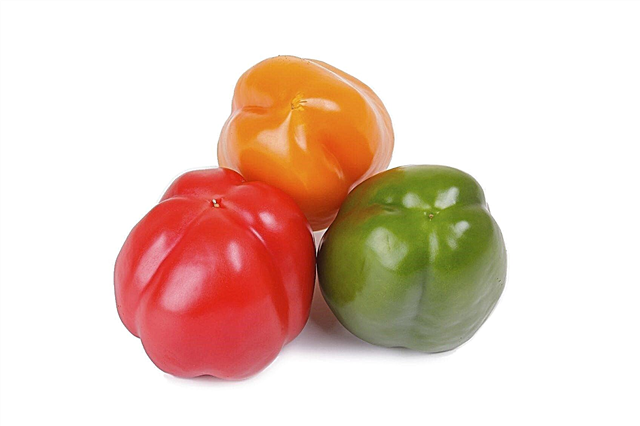 Er paprikavepper en indikator på kjønn og frøproduksjon av paprika?