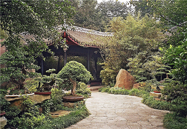 Thiết kế vườn Trung Quốc: Mẹo tạo vườn Trung Quốc