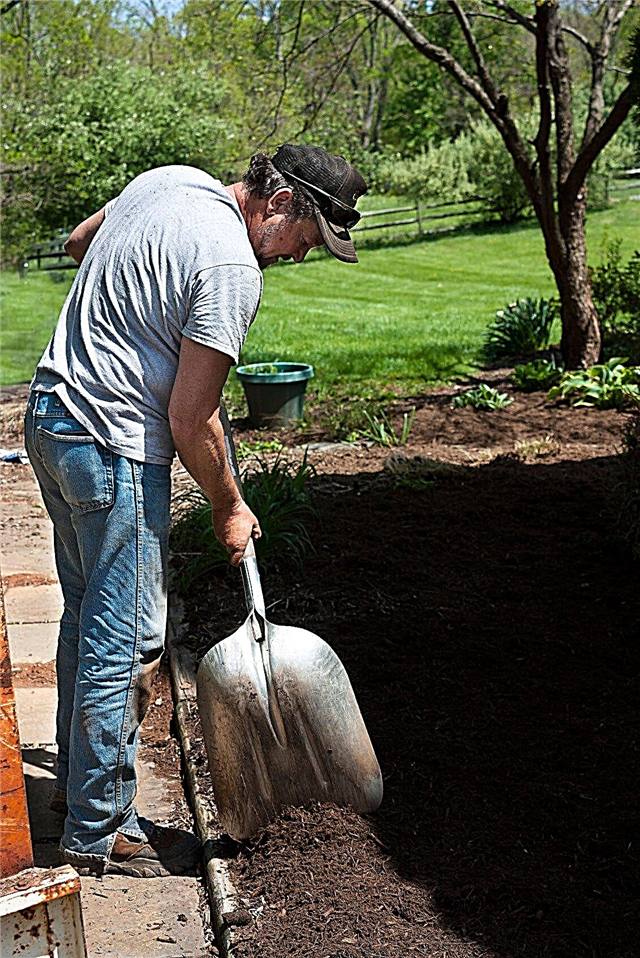 Áp dụng Mulch Garden: Mẹo để trải Mulch trong vườn