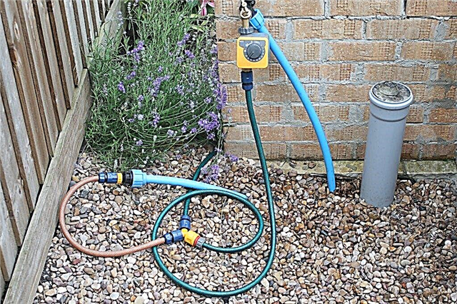 Irrigation du tuyau de trempage: comment utiliser les tuyaux de trempage dans la pelouse et le jardin