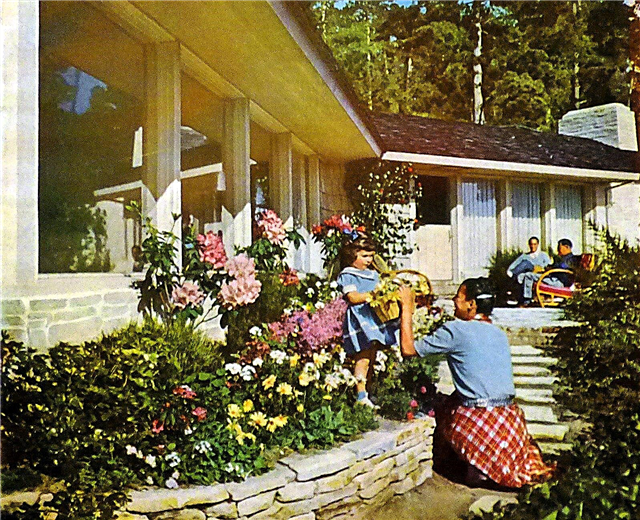 Ideas retro del jardín: plantas rosadas, negras y turquesas para un tema de jardín de los años 50