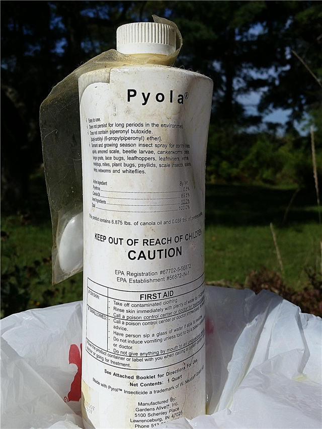 ¿Qué es Pyola: uso de spray de aceite de Pyola para plagas en jardines