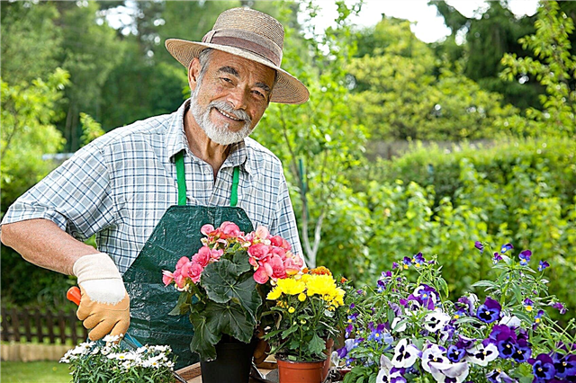 Qu'est-ce qu'un maître jardinier: en savoir plus sur la formation de maître jardinier