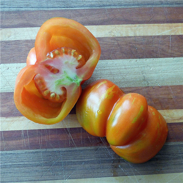 Hohle Tomatenfrucht: Erfahren Sie mehr über Arten von Stuffer-Tomaten