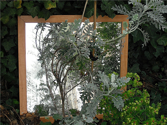 Espelhos em um jardim: Dicas sobre o uso de espelhos no projeto do jardim