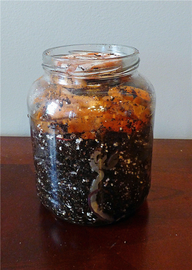 Cómo hacer una casa de gusanos: hacer un tarro o contenedor de lombrices de tierra con niños