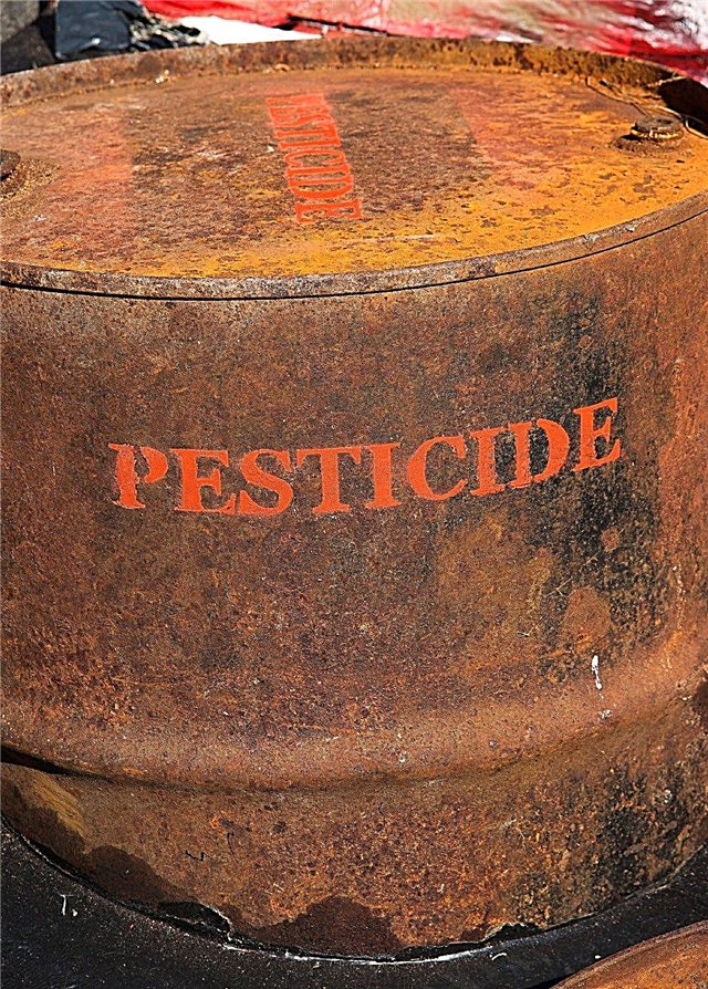 التخلص من المبيدات غير المستخدمة بأمان: تعرف على تخزين المبيدات والتخلص منها