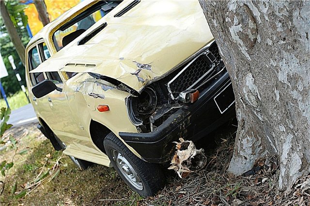 Daño del vehículo a los árboles: arreglando un árbol golpeado por un automóvil