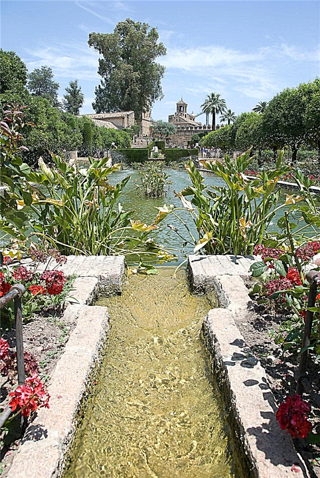 نباتات الحدائق الإسلامية: إنشاء الحدائق والمناظر الطبيعية الإسلامية
