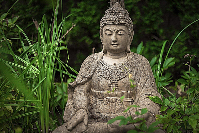 Idéias budistas do jardim: Pontas para criar um jardim budista