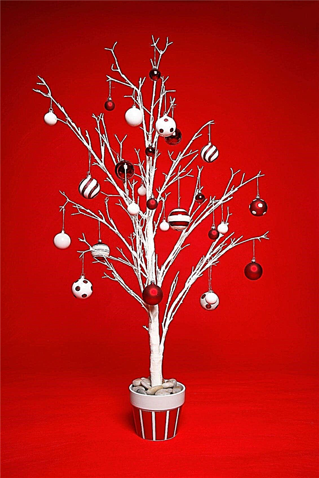 Noel Ağacı Alternatifleri: Geleneksel Olmayan Noel Ağaçları Hakkında Bilgi Edinin