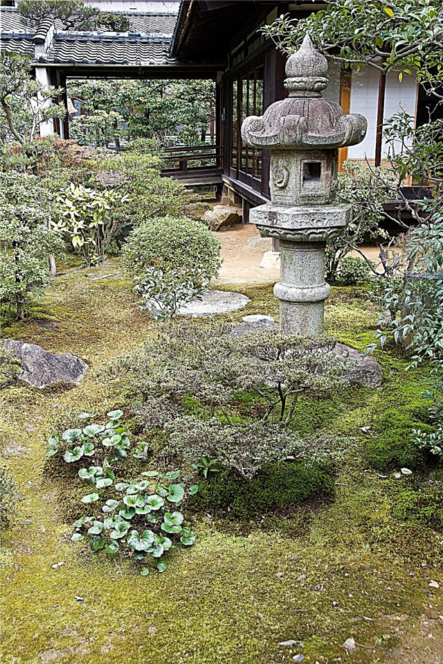 حدائق Zen اليابانية: كيفية إنشاء حديقة Zen