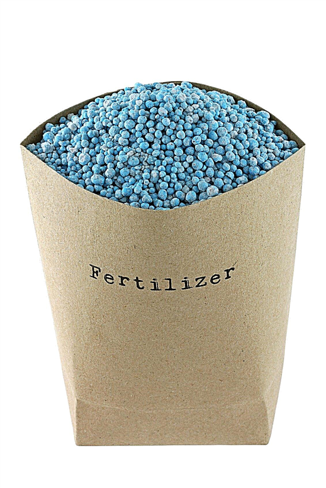Quand fertiliser les plantes: meilleurs moments pour l'application d'engrais