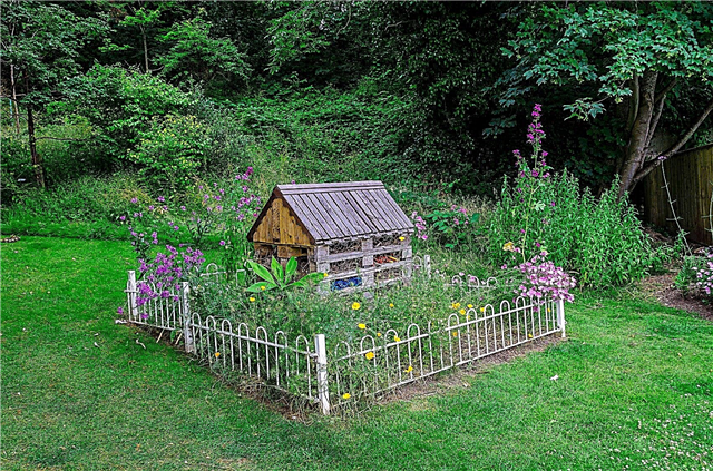Weed Gardens For Wildlife: Criando uma cama de jardim de ervas daninhas