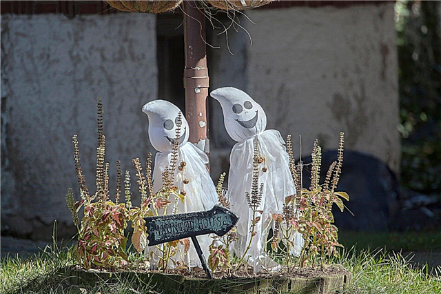 Décoration de jardin d'Halloween: conseils pour la décoration d'Halloween dans le jardin