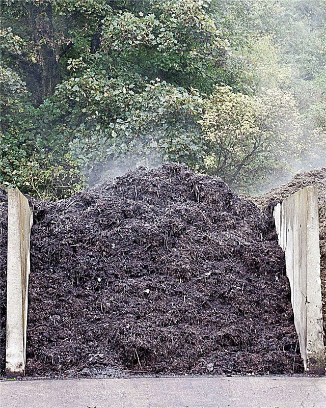 Mein Kompost ist zu heiß: Was tun gegen überhitzte Komposthaufen?