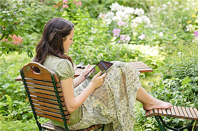 ما هي حديقة القراءة: كيفية إنشاء زاوية قراءة في الحدائق