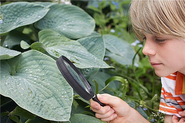 Teaching Science In The Garden: How to Teach Science Through Gardening