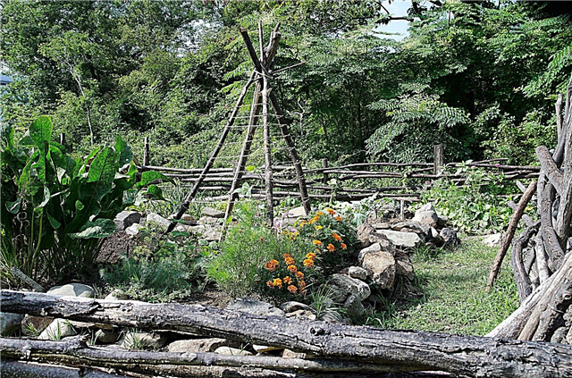 تعريشة حديقة تيبي: استخدام هياكل تيبي في الحديقة النباتية