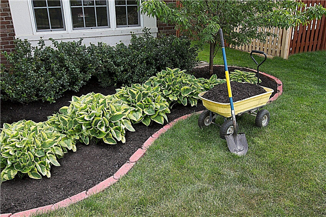 Att välja den bästa mulch: Hur man väljer Garden Mulch