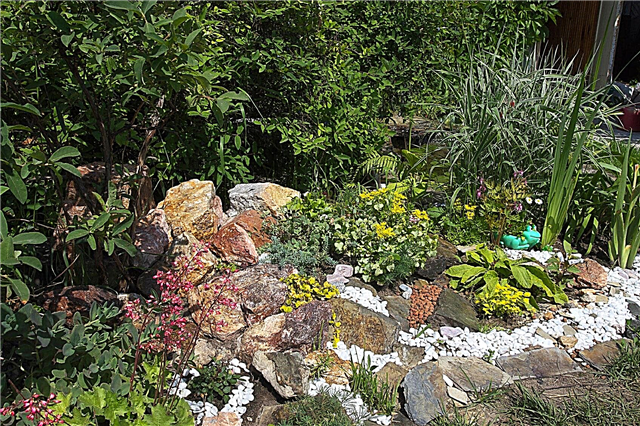 Wat is een rotstuin - Informatie over de bouw van tuinrotstuinen